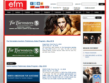 Tablet Screenshot of efurmedia.com